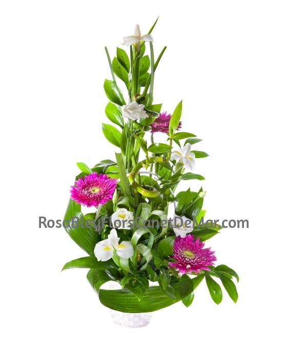 Cesta de Flor Bambú