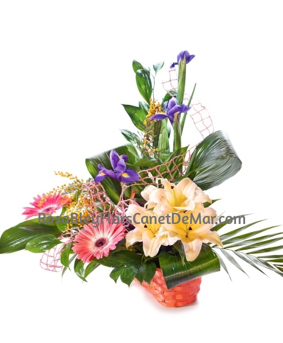 Cesta de Flor Colorida