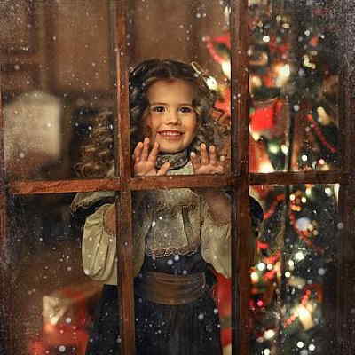 Flor de Pascua, Flores para Navidad, Regalar Plantas en Navidad, Floristería Online, Regalar Plantas, Comprar Flores Online