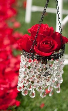 Flores para Sant Jordi, Rosas Rojas Sant Jordi, Flor10, Flores para regalar en Sant Jordi