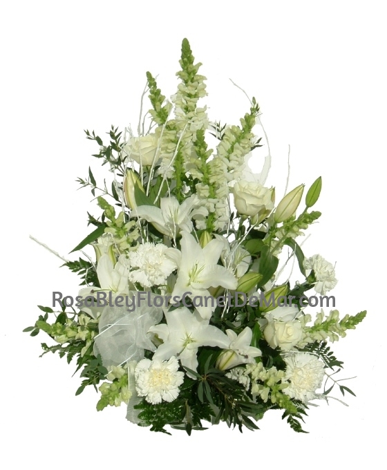 Centro funerario Básico