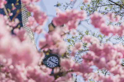 envío de flores de regalo a domicilio, envío urgente de flores de regalo, Arte Floral, envío urgente de flores en Canet de Mar