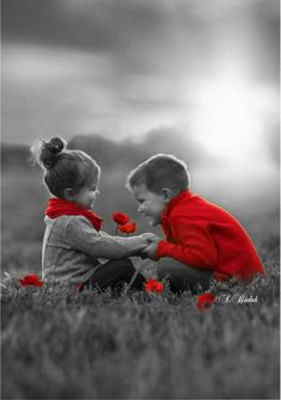 Ramo Flores Noruega, Floristerías en Canet de Mar, Enviar Flores a Canet de Mar, Flores a Domicilio, Reparto de Flores, Comprar Flores Online, Floristería Online