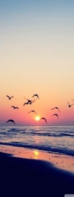 Ramo Funerario 7 Rosas Rosadas, Rosas para el Tanatorio, Ramo de Flores para dar Condolencias, Ramos Funerarios para Canet de Mar, Flores para Difuntos