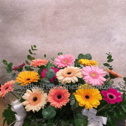 Jardinera con Gerberas en colores variados