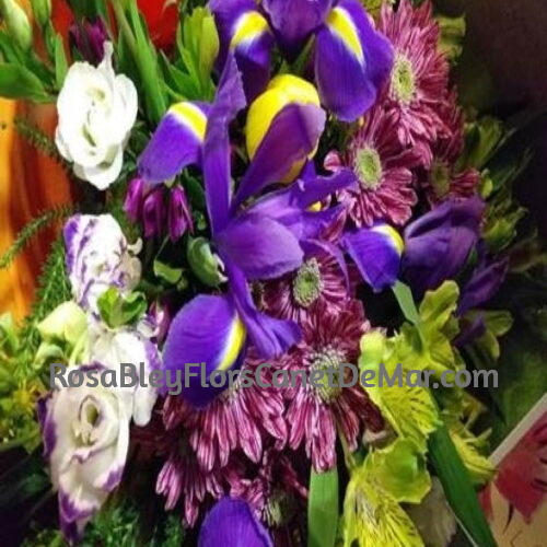 Ramo Silvestre de Invierno