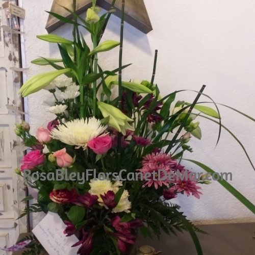 Centro Flores Haití